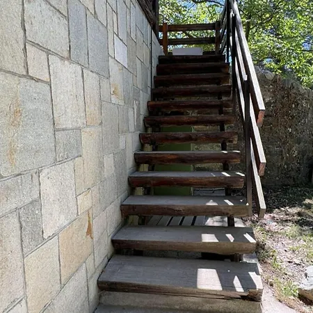 Immersa Nel *